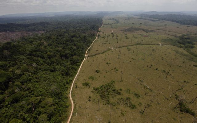 Επιταχύνεται και πάλι η καταστροφή του Αμαζονίου